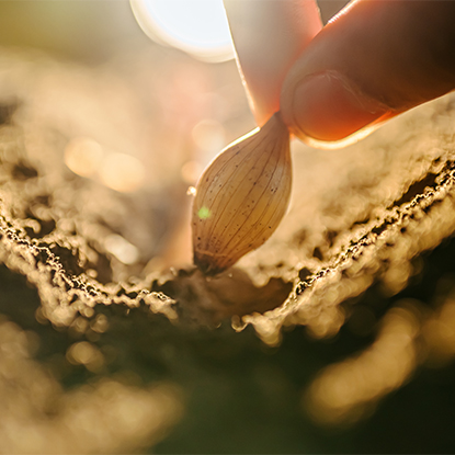 Poljoprivreda i šumarstvo